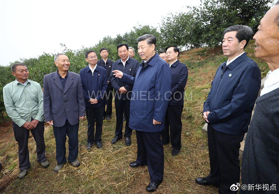 光山油茶籽榨油設(shè)備，山茶籽油榨油機廠家(圖3)