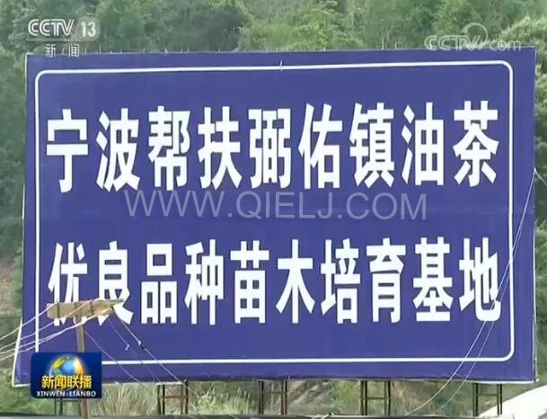 新聞聯(lián)播決戰(zhàn)決勝脫貧攻堅之油茶樹串起的產業(yè)鏈(圖2) 新聞聯(lián)播決戰(zhàn)決勝脫貧攻堅之油茶樹串起的產業(yè)鏈(圖2)