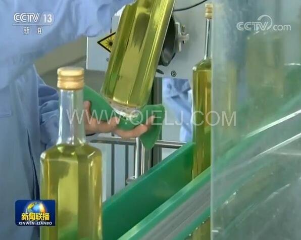 新聞聯(lián)播決戰(zhàn)決勝脫貧攻堅之油茶樹串起的產業(yè)鏈(圖3) 新聞聯(lián)播決戰(zhàn)決勝脫貧攻堅之油茶樹串起的產業(yè)鏈(圖3)