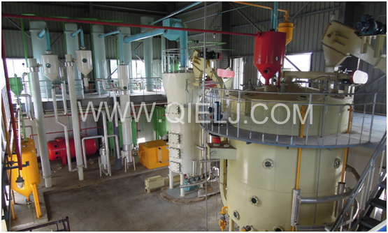 新聞聯(lián)播決戰(zhàn)決勝脫貧攻堅之油茶樹串起的產業(yè)鏈(圖9) 新聞聯(lián)播決戰(zhàn)決勝脫貧攻堅之油茶樹串起的產業(yè)鏈(圖9)