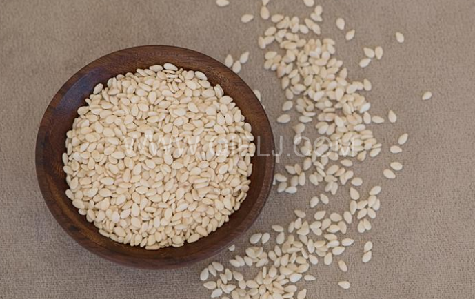 芝麻油壓榨處理設備，企鵝牌液壓榨油機勇于創新生產效率高(圖1)