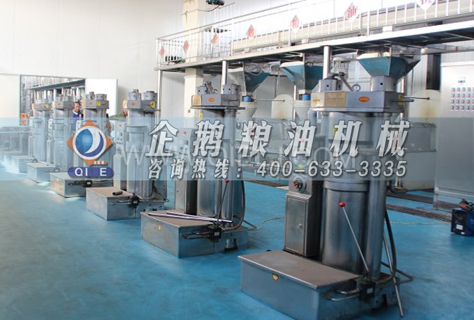 芝麻油提取加工，企鵝糧油機(jī)械生產(chǎn)色香味俱佳的油脂(圖3)